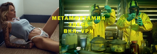 шишки Коряжма