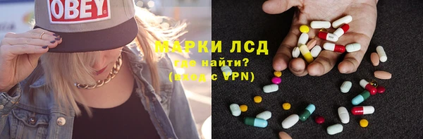 шишки Коряжма