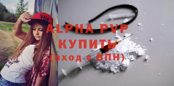 шишки Коряжма