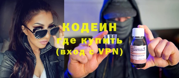 шишки Коряжма