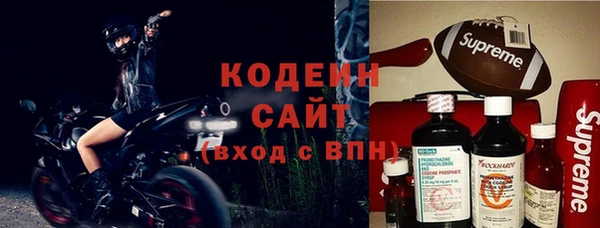 шишки Коряжма
