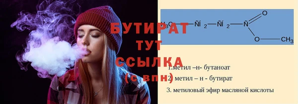 шишки Коряжма