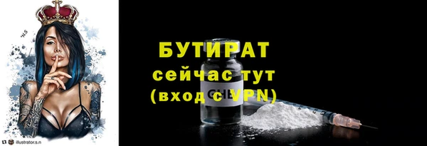 шишки Коряжма