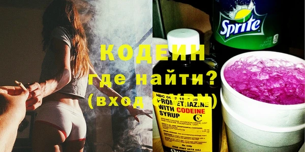 шишки Коряжма