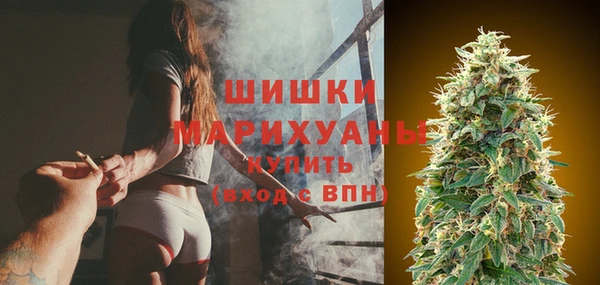 мяу мяу кристалл Корсаков