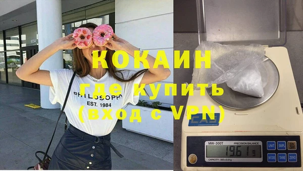 шишки Коряжма