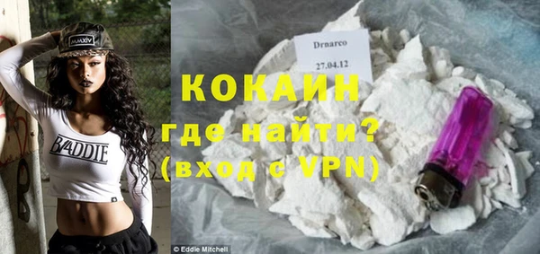 шишки Коряжма
