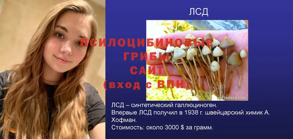 шишки Коряжма