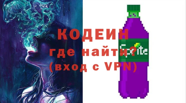 шишки Коряжма